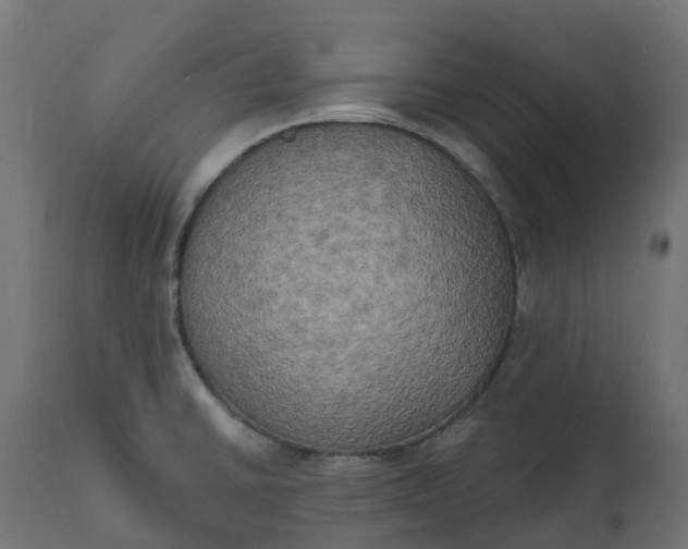 X0000111521430200907281328