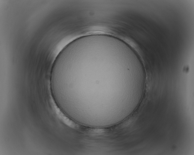 X0000111521431200907281328