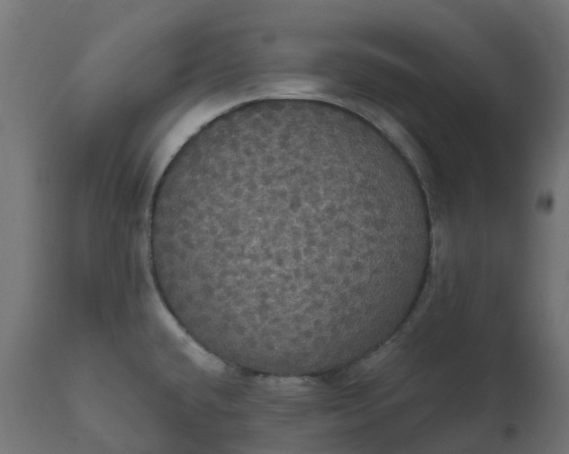 X0000111521432200907281328
