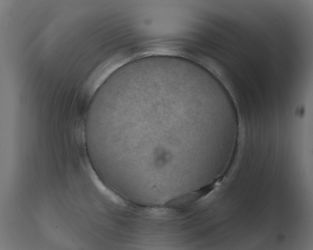 X0000111521433200907281328