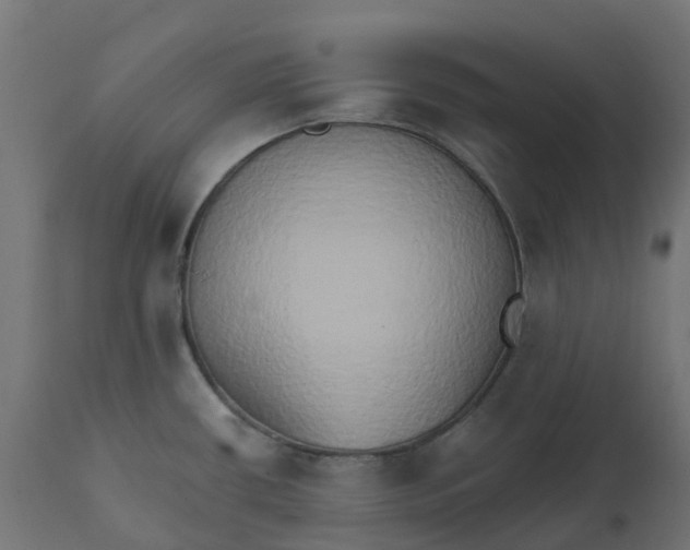X0000111521434200907281328