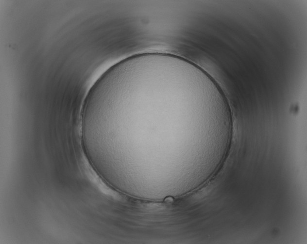X0000111521436200907281328