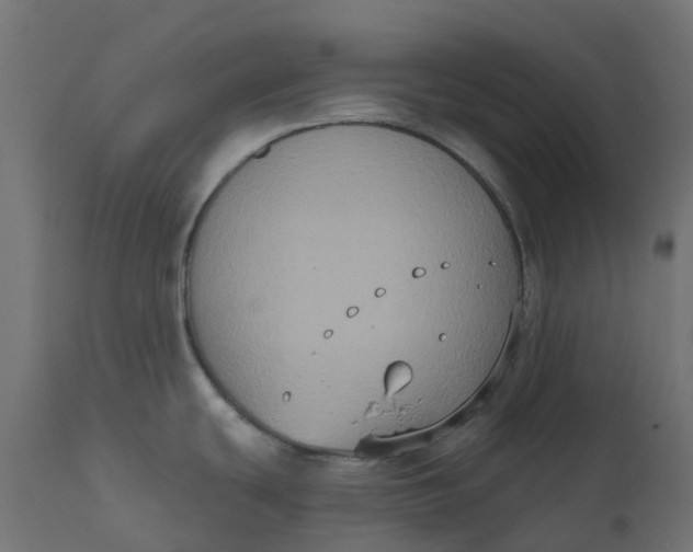 X0000111521439200907281328