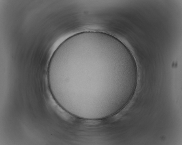 X0000111521440200907281328