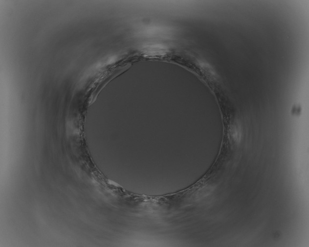 X0000111521445200907281327