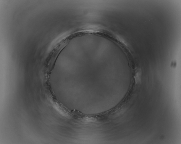 X0000111521448200907281327