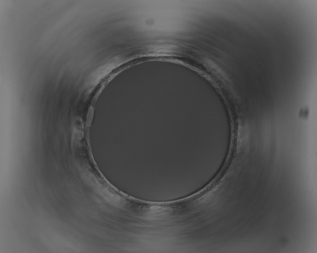 X0000111521449200907281327