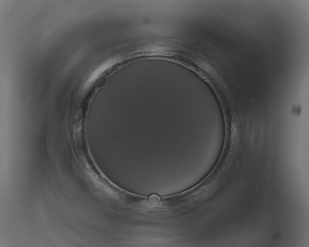 X0000111521450200907281327