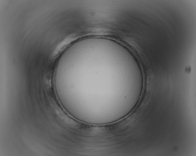 X0000111521451200907281327