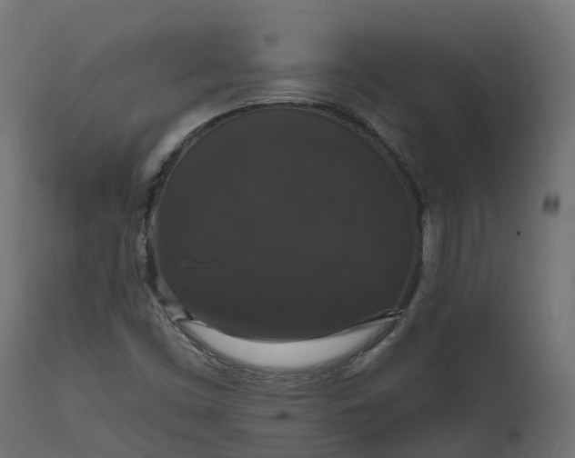 X0000111521453200907281327