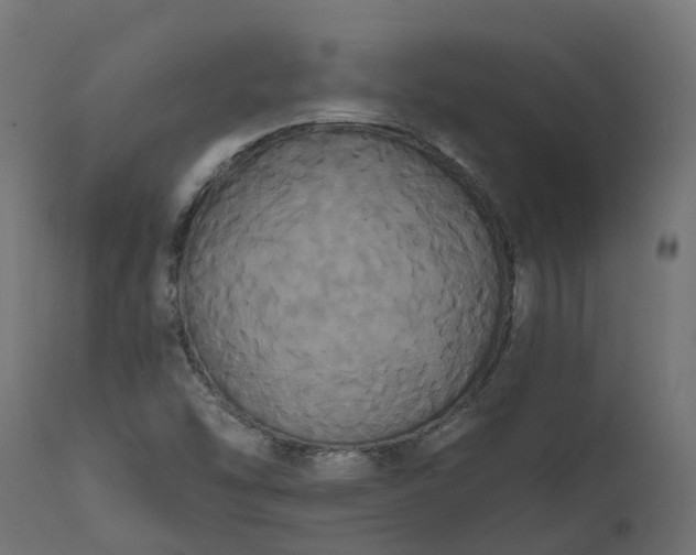 X0000111521454200907281327