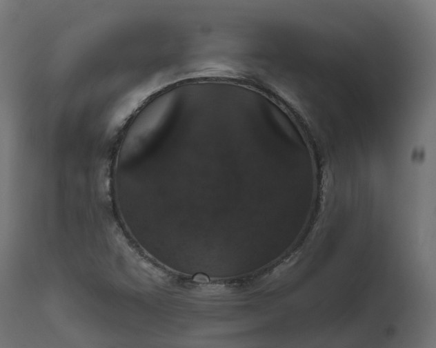 X0000111521455200907281327