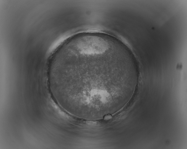 X0000111521456200907281327