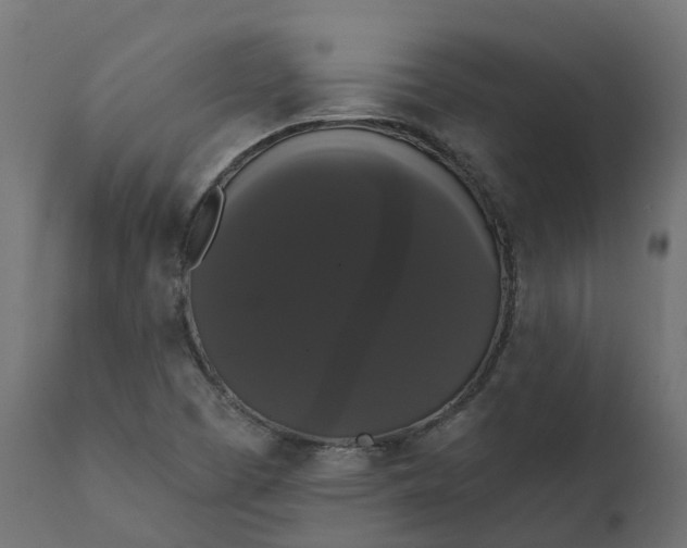 X0000111521457200907281327