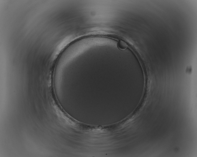 X0000111521459200907281327