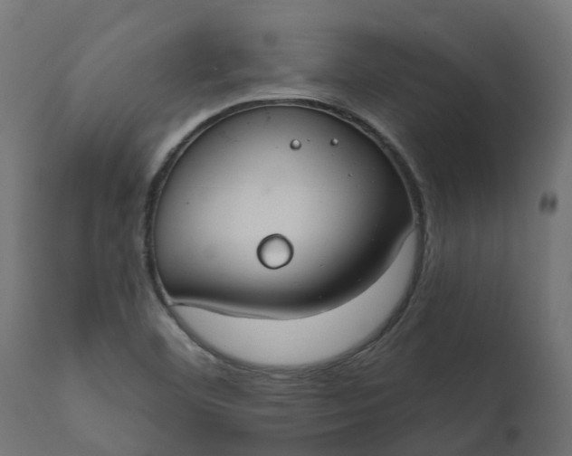 X0000111521460200907281327