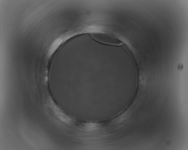 X0000111521461200907281327