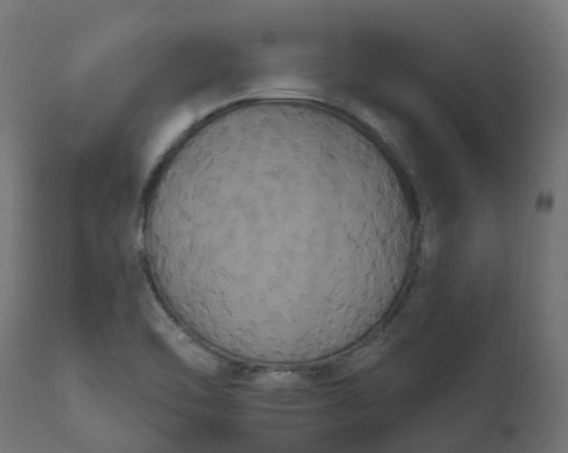 X0000111521462200907281327
