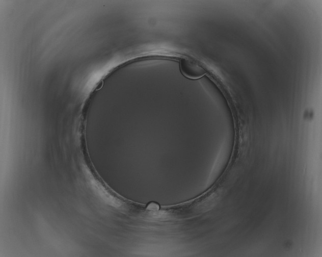 X0000111521463200907281327