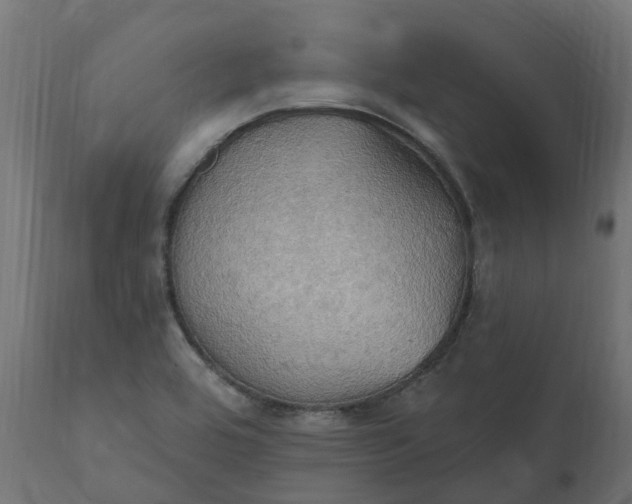 X0000111521464200907281327