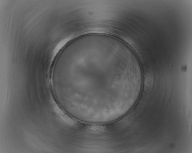 X0000111521466200907281327