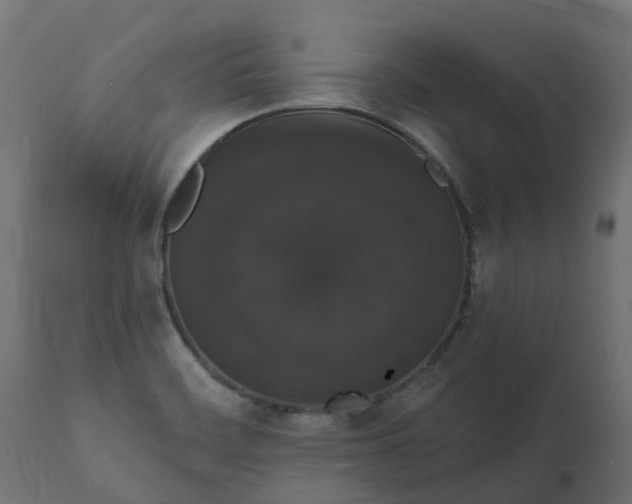 X0000111521468200907281327