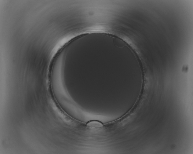 X0000111521469200907281327