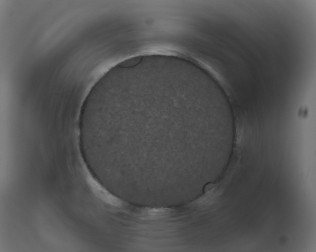 X0000111521471200907281327