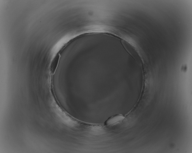 X0000111521472200907281327