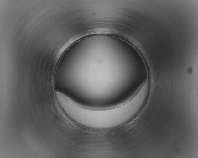 X0000111521473200907281327