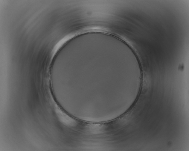 X0000111521474200907281327