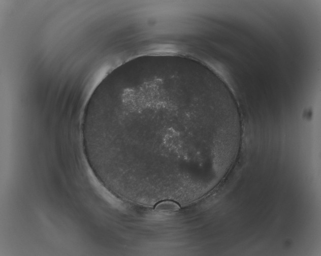 X0000111521475200907281327