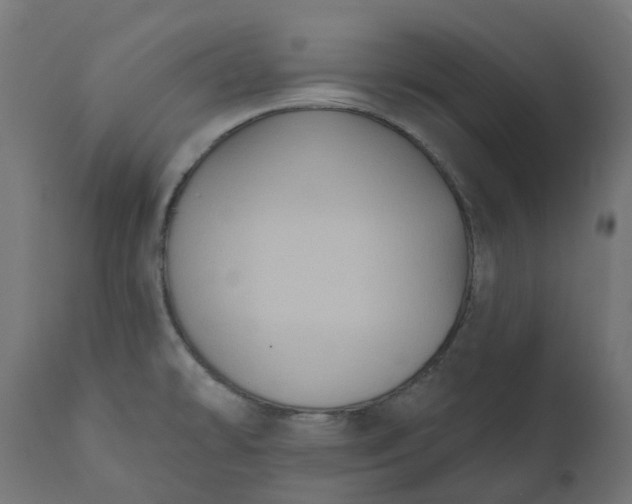 X0000111521478200907281327