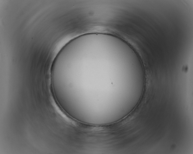 X0000111521479200907281327
