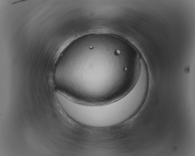 X0000111521481200907281327