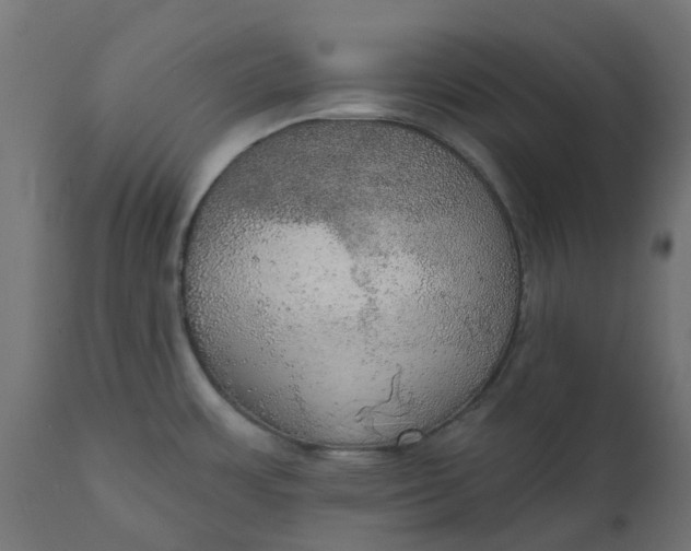 X0000111521483200907281326