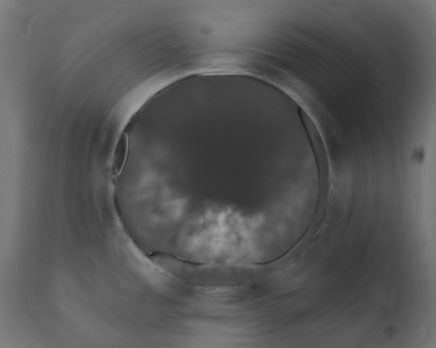X0000111521485200907281326