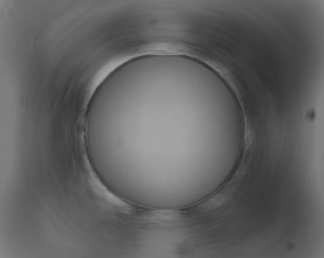 X0000111521486200907281326