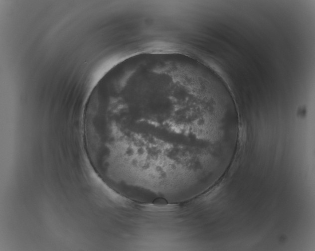 X0000111521487200907281326