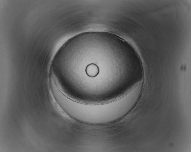 X0000111521488200907281326