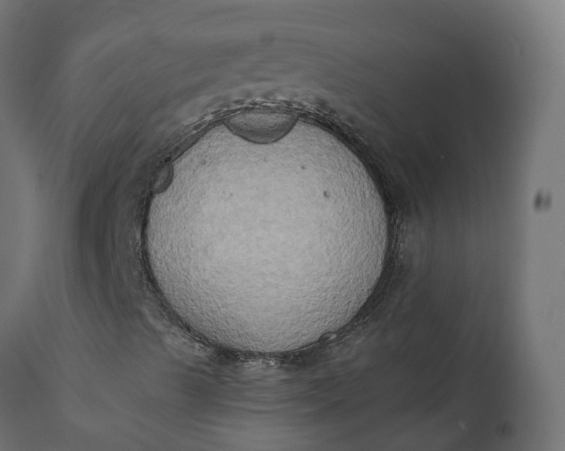 X0000111521489200907281326