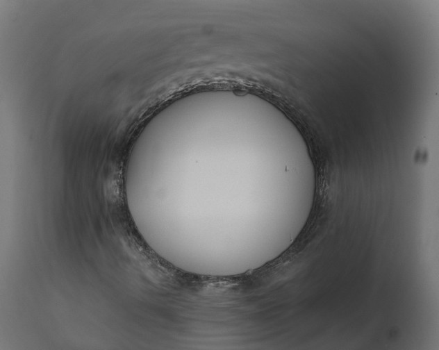 X0000111521490200907281326