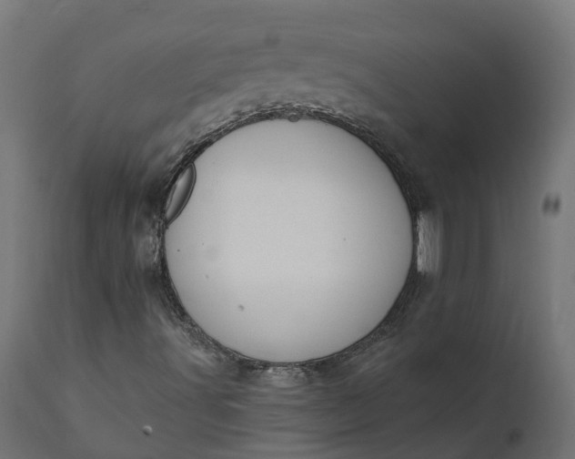 X0000111521491200907281326
