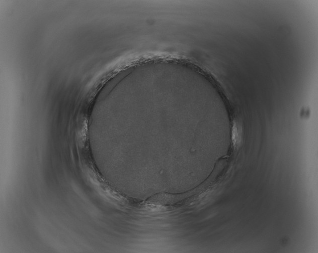 X0000111521492200907281326