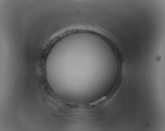 X0000111521494200907281326