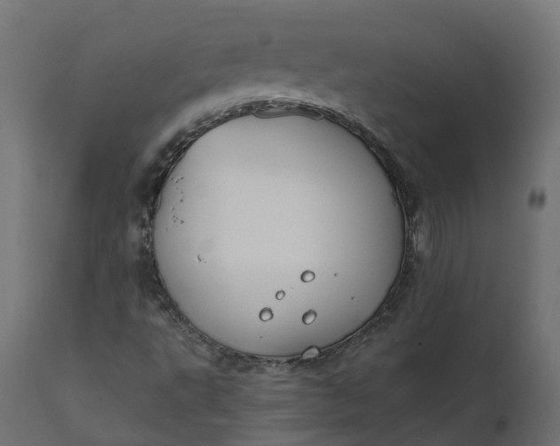 X0000111521495200907281326