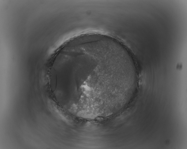 X0000111521496200907281326