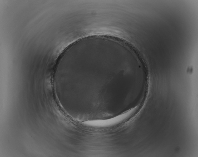 X0000111521497200907281326
