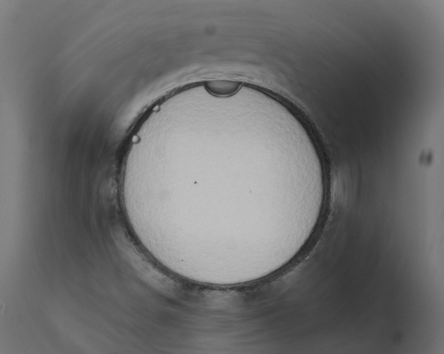 X0000111521498200907281326