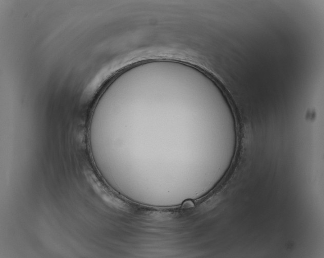 X0000111521499200907281326
